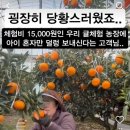 진상농장 이미지