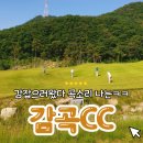 감곡2 | 충북 음성 감곡CC 라운딩 후기: 2인 &amp; 노캐디 가능 골프장(동호회 월례회)