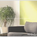 1번지공인중개사사무소 이미지