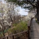 도심건강길 2길 이미지