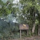 홈그린 마트 | 치앙마이] 쿠킹 클래스 추천! Grandma’s Home Cooking School(그랜마스 홈 쿠킹 스쿨) 내돈내산 솔직후기