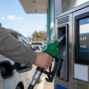 동부농협주유소 이미지