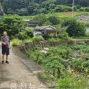 홍천소방서 이미지