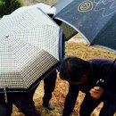 미천면-13 이미지