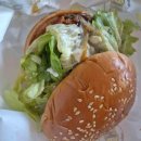 서구-01-62 이미지