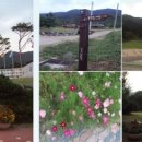 (유) 평화농장 이미지