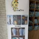 완도 비파 영농조합법인[지인 따라감]