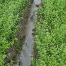 진솔농장 이미지