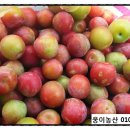 고야농산