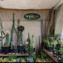 대광농원 이미지