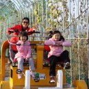 곡성역 Daum카페