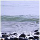 염포해수욕장 이미지