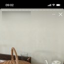 스테이사계;온 이미지