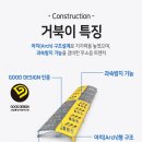 튼튼한거북이 이미지