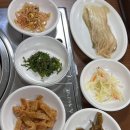 방목흑돼지 이미지