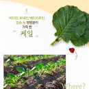 선택목장 이미지