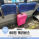 시민여객㈜ | 전국 최초 부산 85번 '캐리버스' 대형 캐리어 들고 탄다! 직접 체험 후기