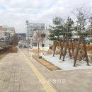 목령종합사회복지관 이미지
