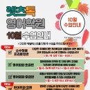 렛츠톡영어학원