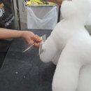 유지네 애견미용샵 이미지