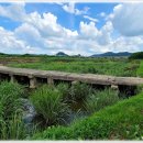 함평 고막천석교 이미지