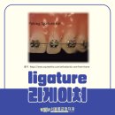 서울리치과의원 이미지