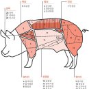 고기백과 이미지