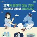 메디팜현대약국 데일리안