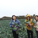 성익농장 이미지