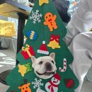 니멍내멍 이미지