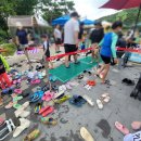 패밀리파크 물놀이시설(수영장) 이미지