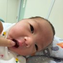 [남양 유기농 산양유아식 육아 후기] 우리 유주와 함께한 4개월의 이야기 🍼