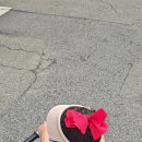 다연이네 이미지