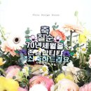 플로라디자인하우스 네이버블로그