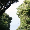 금호1농장 이미지