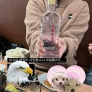 만복양꼬치