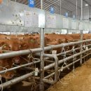 정철원농장 이미지