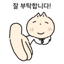 금사자동차운전전문학원
