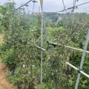 원순농장 이미지