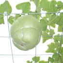 호반공원 이미지