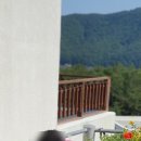 나로힐링펜션 이미지