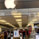 킹스가든 이미지