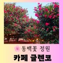 소금꽃정원 | [제주 카페] 제주 동백꽃 명소 정원이 아름다운 "카페 글렌코" 즐거운 방문 후기