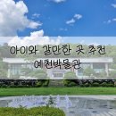 117 | 경북 예천 가볼만한 곳: 아이와 함께 역사와 놀이를 한 번에! 예천박물관