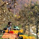 이순희농가 이미지