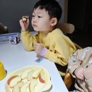 어린정 | 아이들이 먼저 찾는 정담아농원 부사사과 껍질까지 순삭 후기