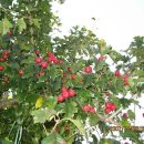 왕산리마을회관 이미지