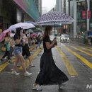 상업용 73 이미지