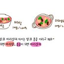 수해복진주칠암점
