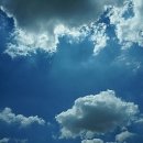 소양강장어구이 이미지